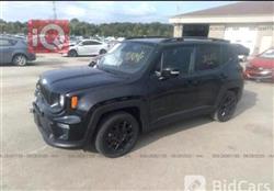 جيب رينيجيد